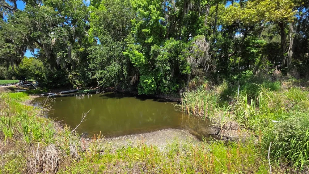 GALLAGHER ROAD Dover, FL 33527