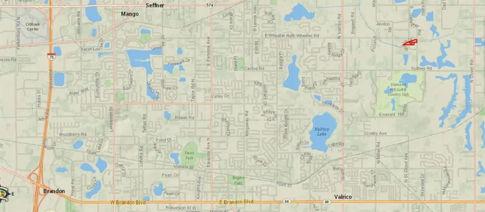 GALLAGHER ROAD Dover, FL 33527