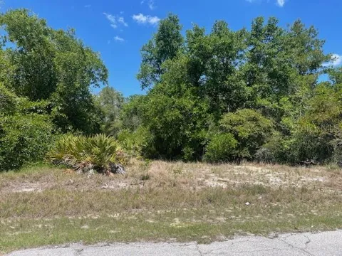 KISSIMMEE WAY
