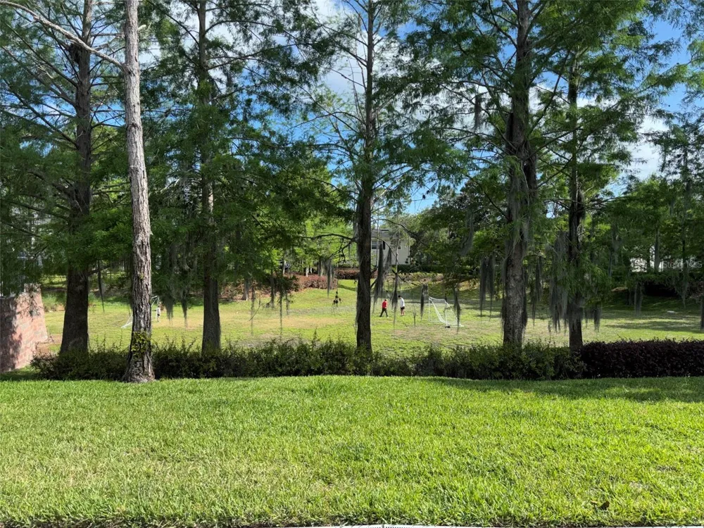 143 SOUTHERN PECAN CIRCLE #206 Winter Garden, FL 34787