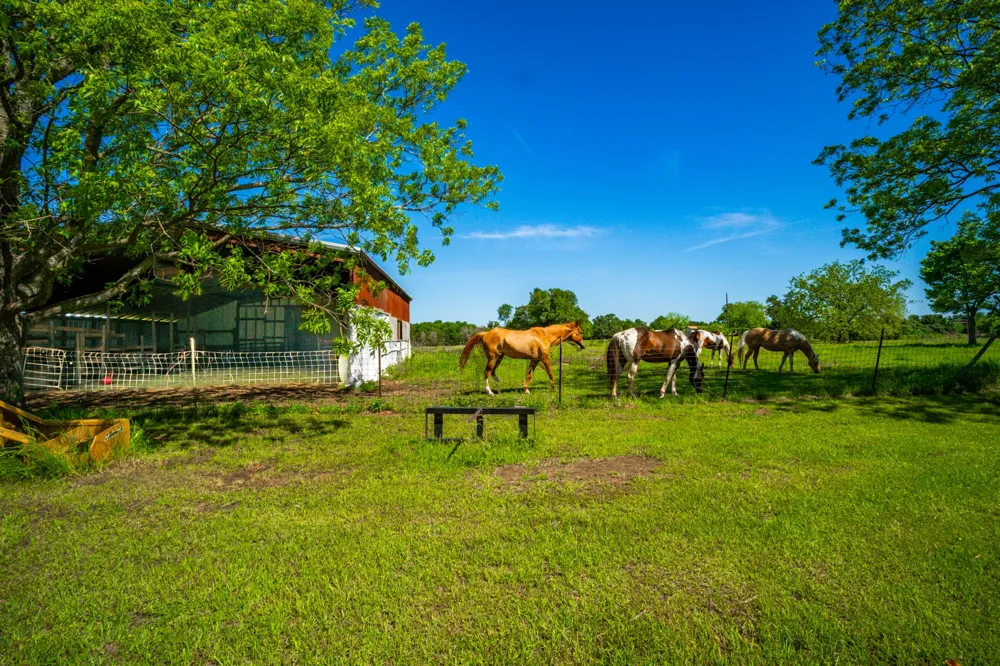 682 Lcr 450 Mexia, TX 76667