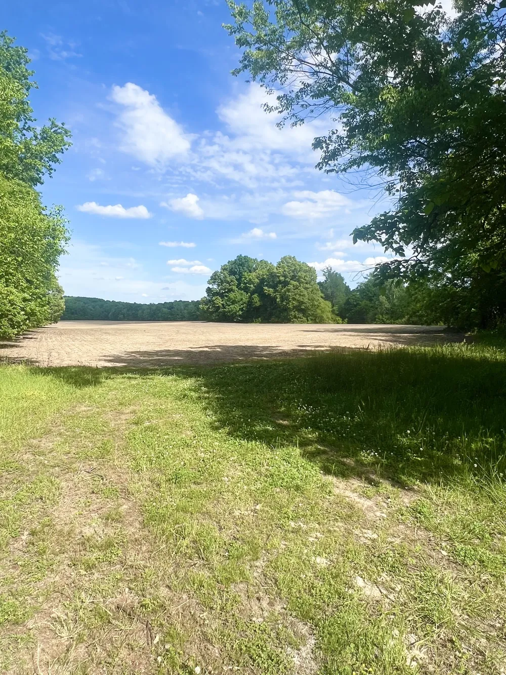 0 Independence Loop Lexington, TN 38351
