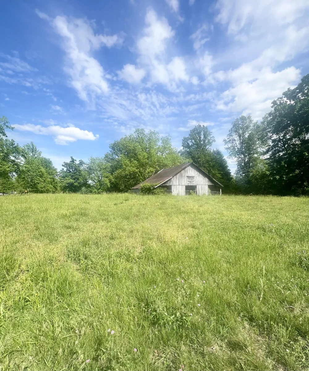 0 Independence Loop Lexington, TN 38351