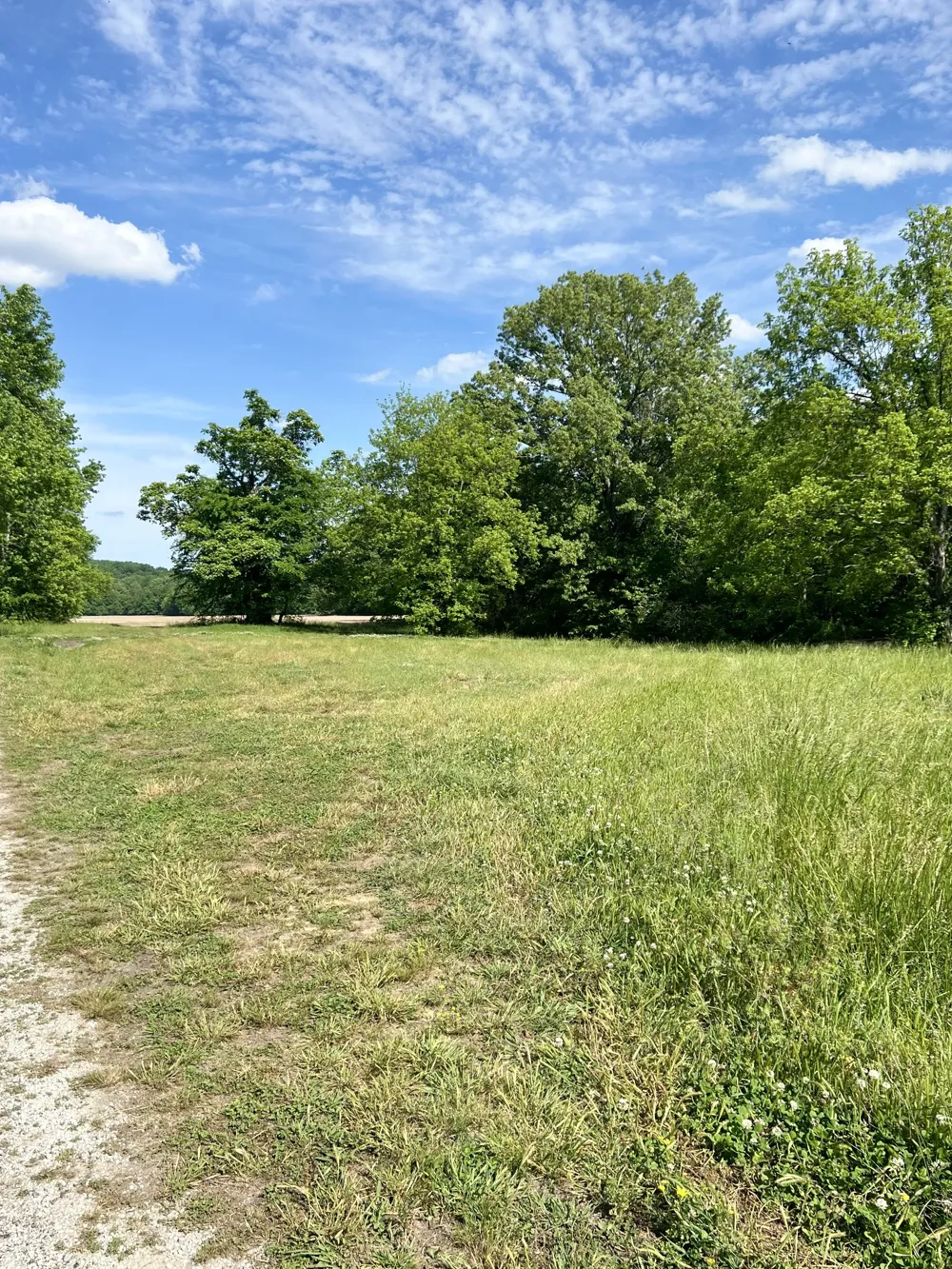 0 Independence Loop Lexington, TN 38351