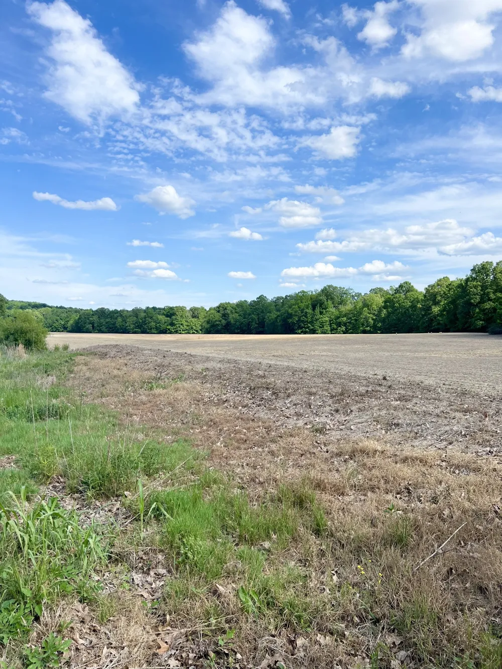 0 Independence Loop Lexington, TN 38351