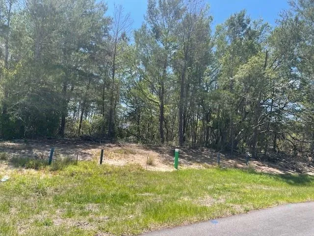 1342 HOMOSASSA DRIVE Poinciana, FL 34759