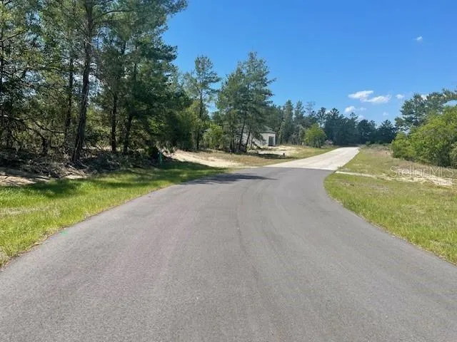 1342 HOMOSASSA DRIVE Poinciana, FL 34759