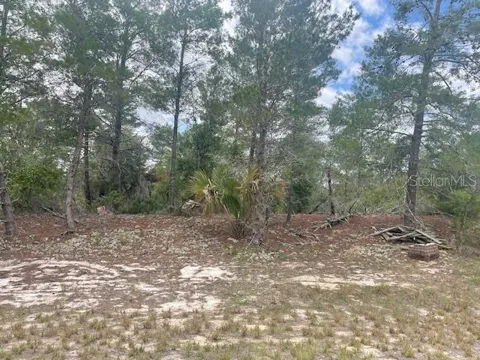 1342 HOMOSASSA DRIVE