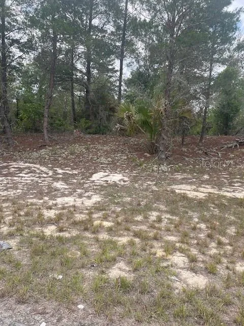 1342 HOMOSASSA DRIVE Poinciana, FL 34759