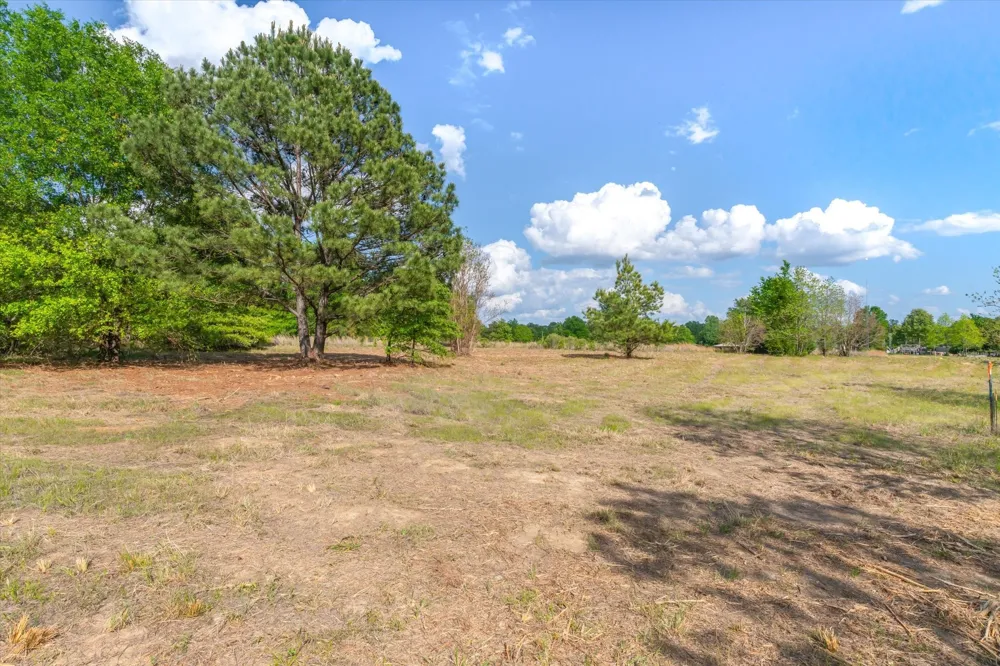 Hwy 69 Alba, TX 75410