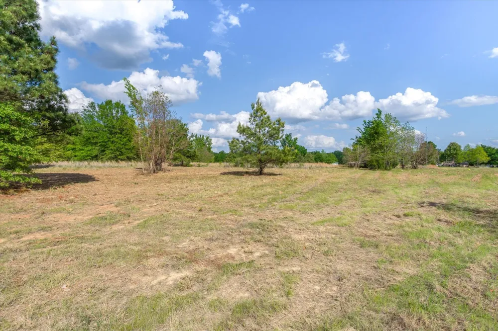 Hwy 69 Alba, TX 75410