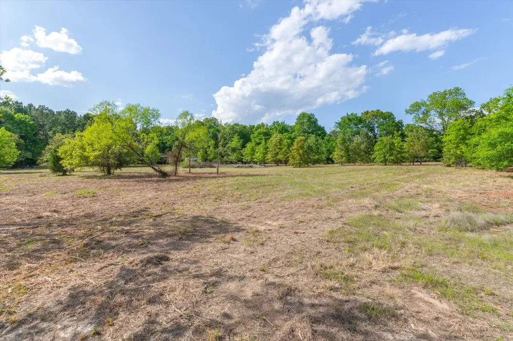 Hwy 69 Alba, TX 75410
