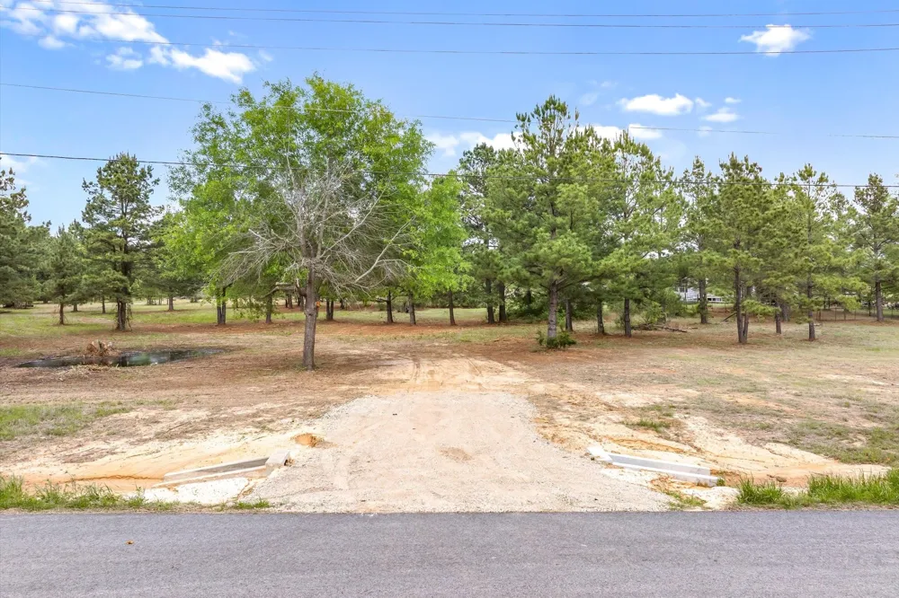 Hwy 69 Alba, TX 75410