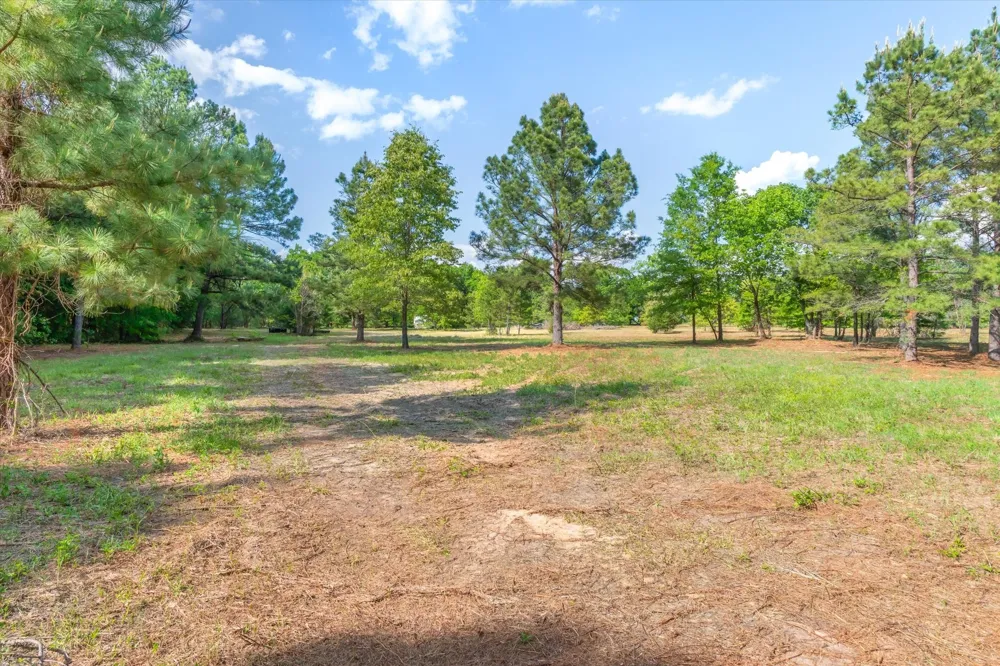 Hwy 69 Alba, TX 75410