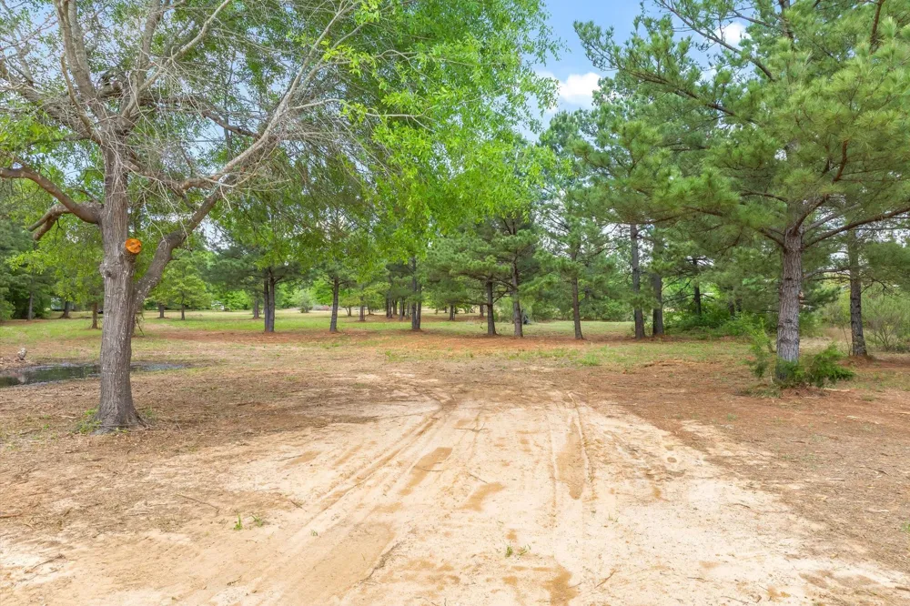Hwy 69 Alba, TX 75410
