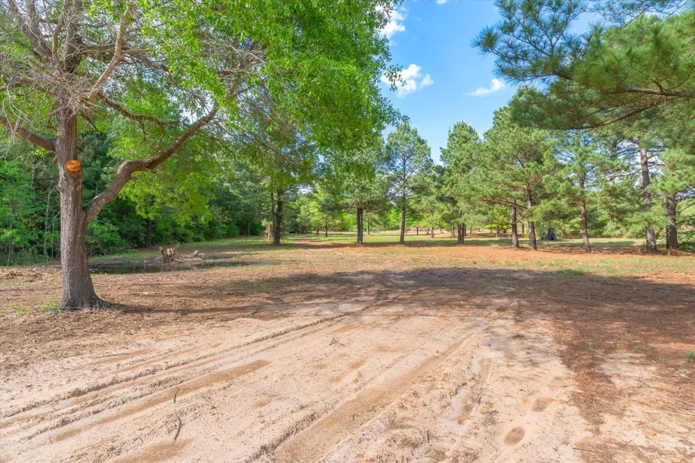 Hwy 69 Alba, TX 75410