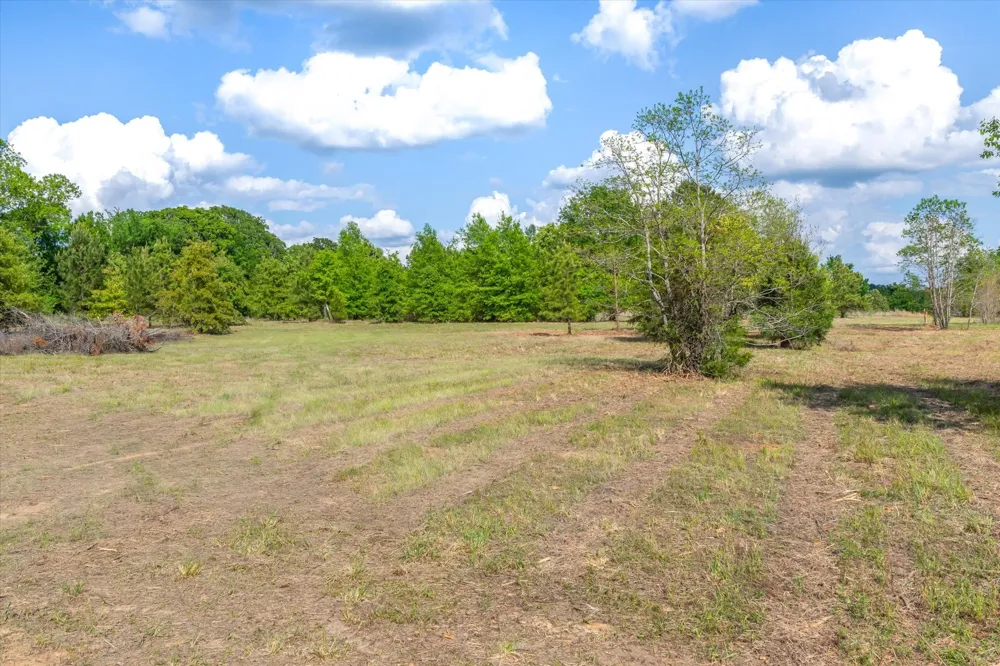 Hwy 69 Alba, TX 75410