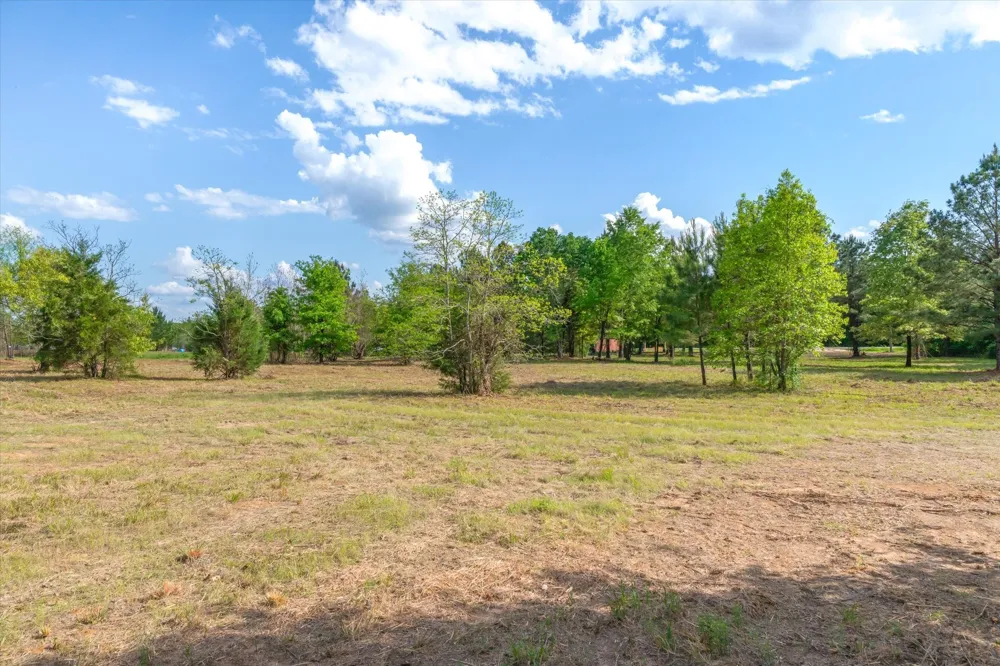 Hwy 69 Alba, TX 75410