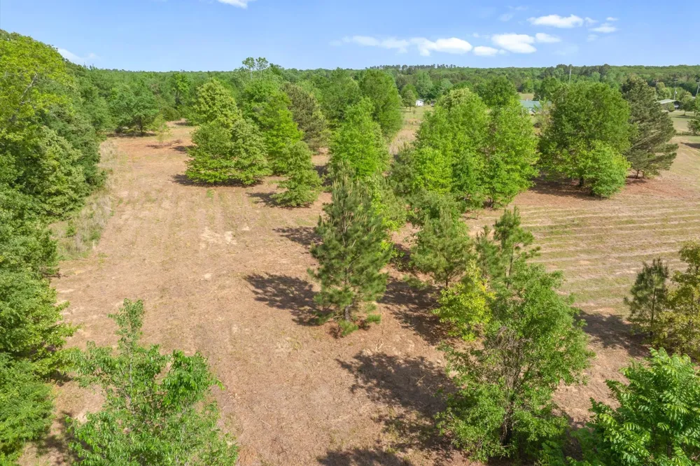 Hwy 69 Alba, TX 75410