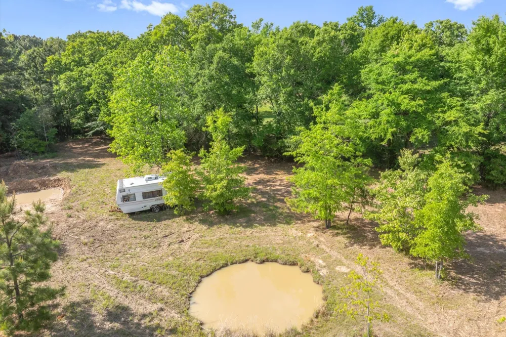 Hwy 69 Alba, TX 75410