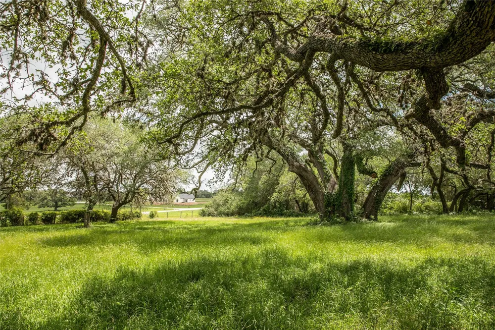 1503 State Highway 237 Round Top, TX 78954