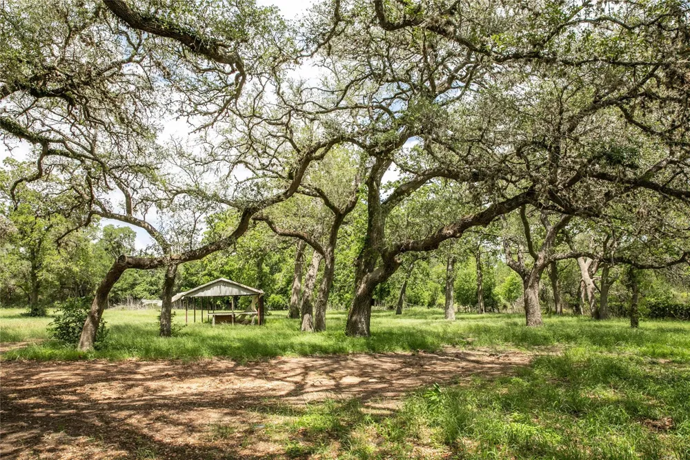 1503 State Highway 237 Round Top, TX 78954