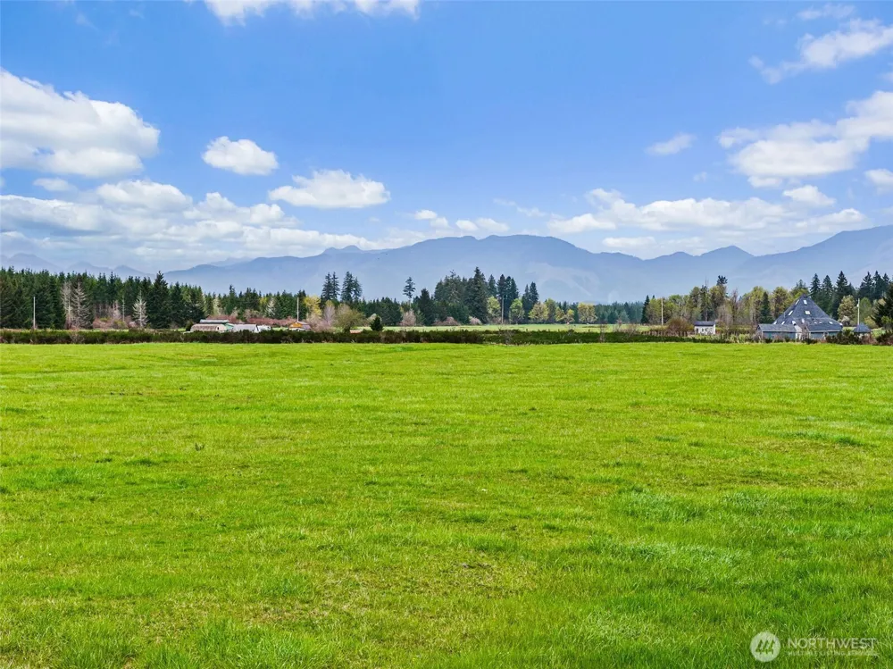 0 xxx W Forest Green Lane Elma, WA 98541