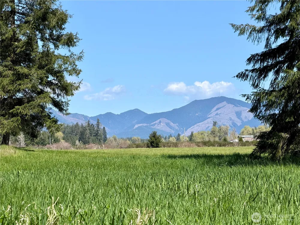 0 xxx W Forest Green Lane Elma, WA 98541