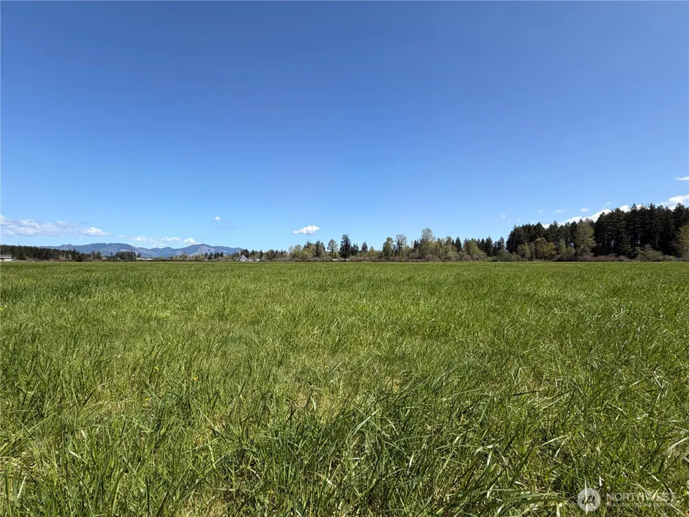 0 xxx W Forest Green Lane Elma, WA 98541