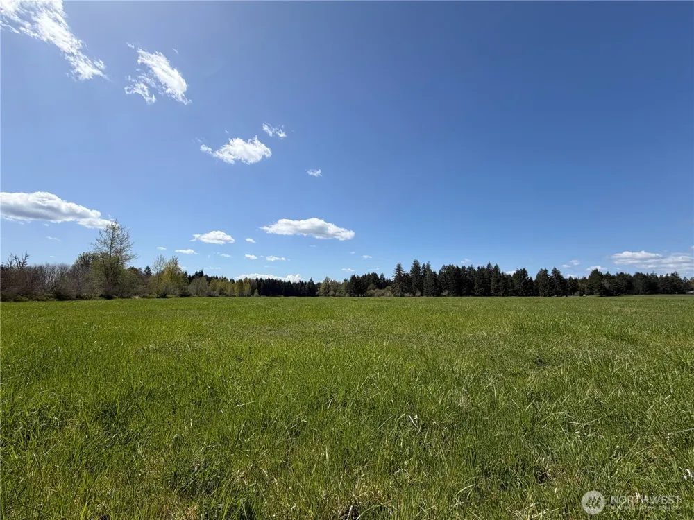 0 xxx W Forest Green Lane Elma, WA 98541