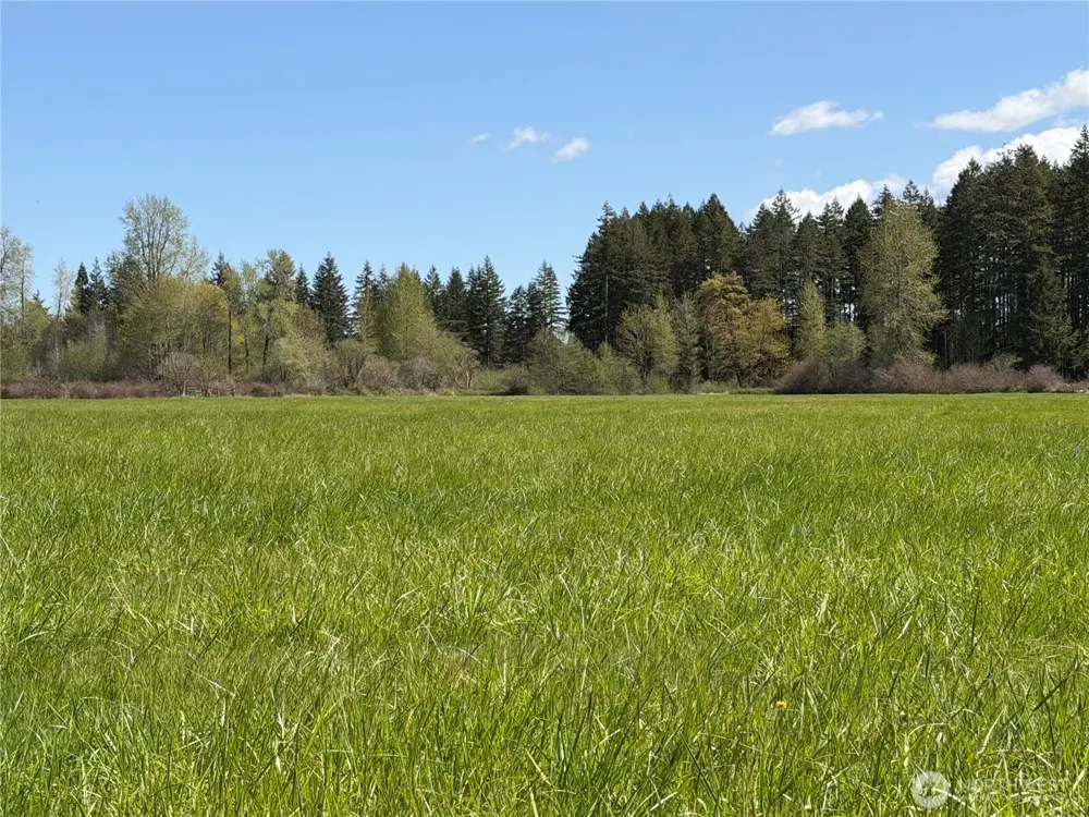 0 xxx W Forest Green Lane Elma, WA 98541