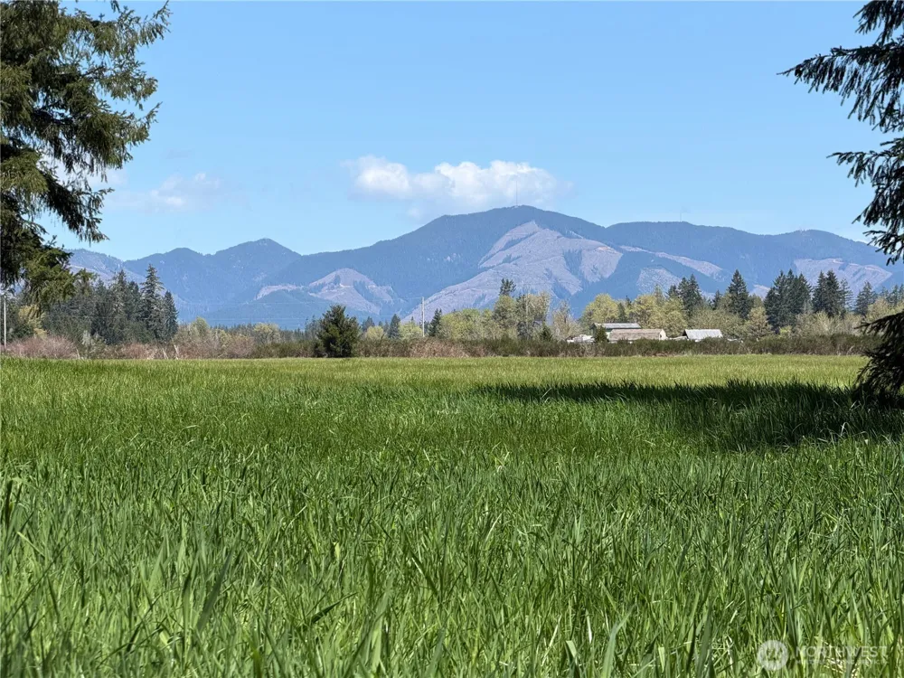 0 xxx W Forest Green Lane Elma, WA 98541