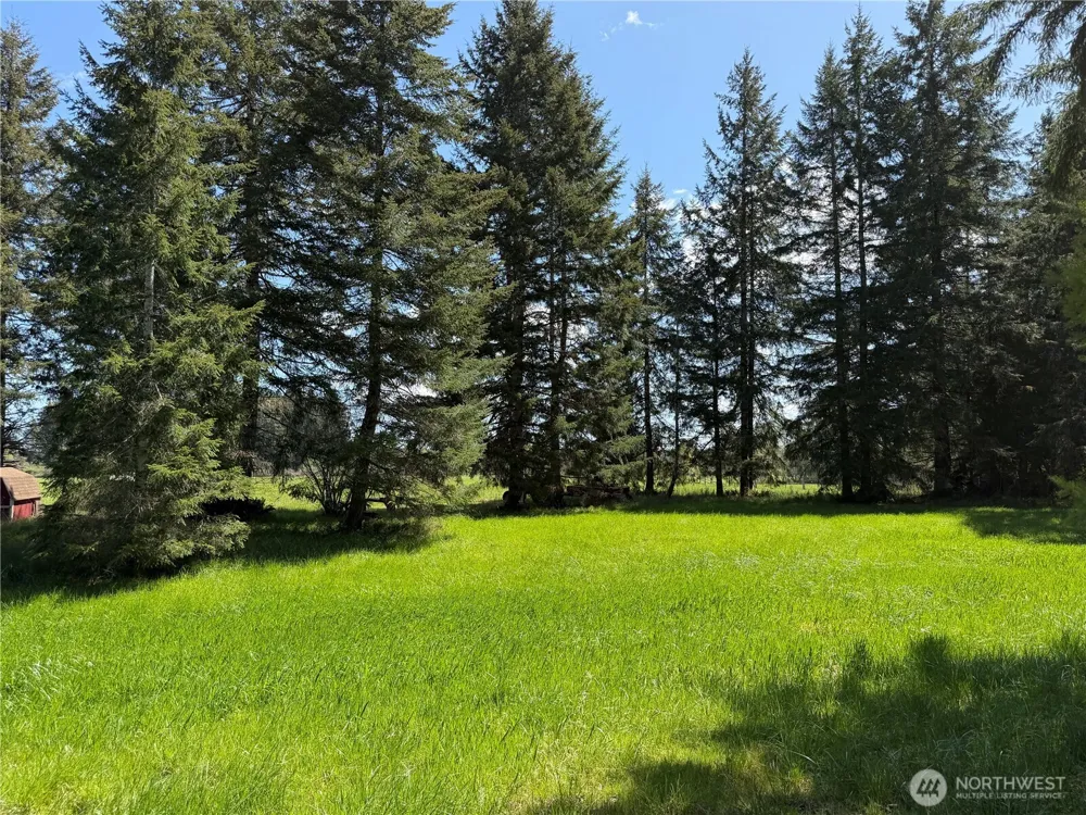 0 xxx W Forest Green Lane Elma, WA 98541