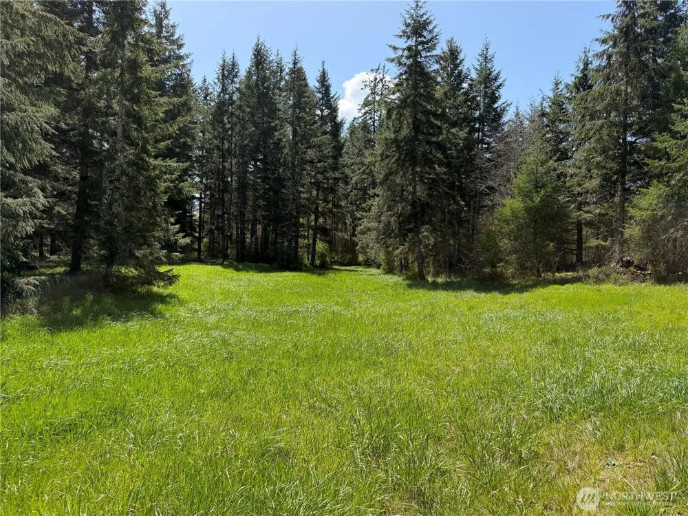 0 xxx W Forest Green Lane Elma, WA 98541