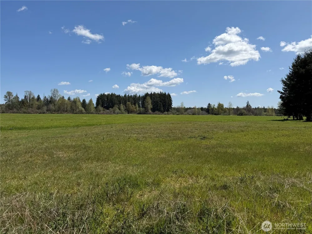 0 xxx W Forest Green Lane Elma, WA 98541