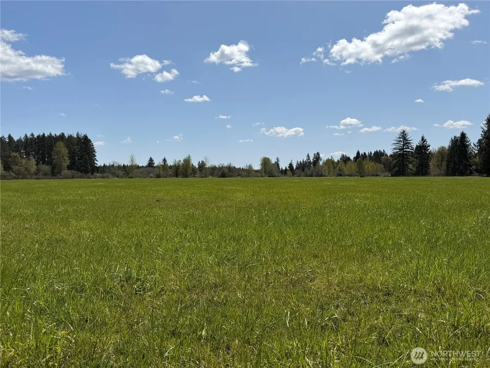 0 xxx W Forest Green Lane Elma, WA 98541