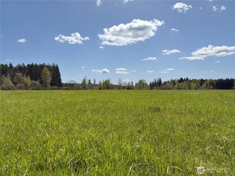0 xxx W Forest Green Lane Elma, WA 98541