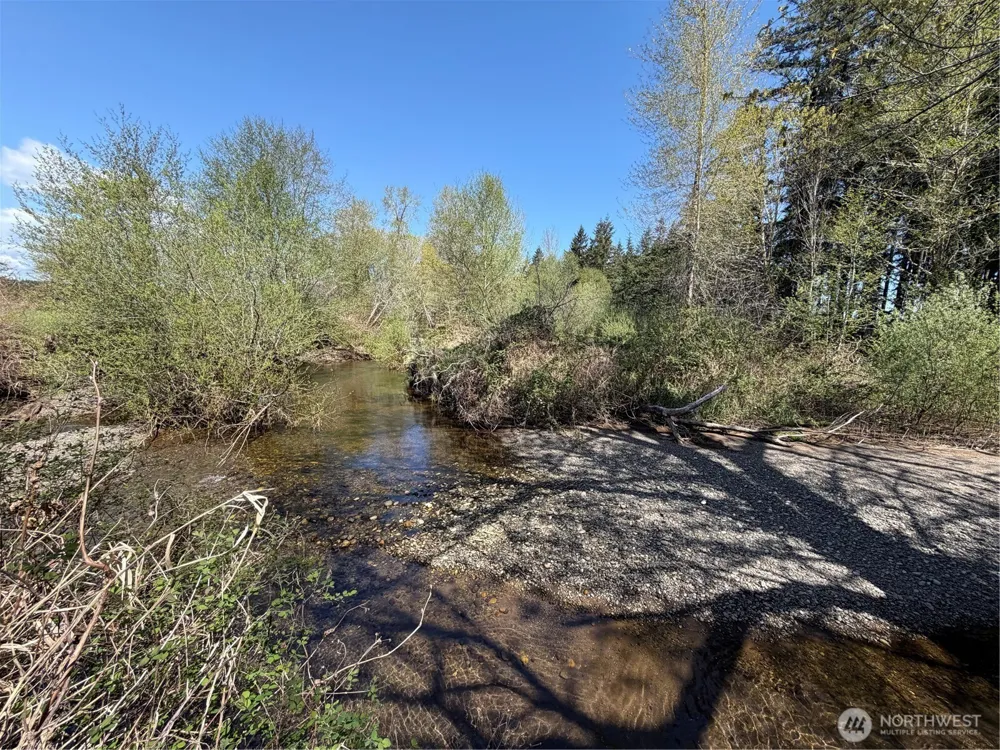 0 xxx W Forest Green Lane Elma, WA 98541