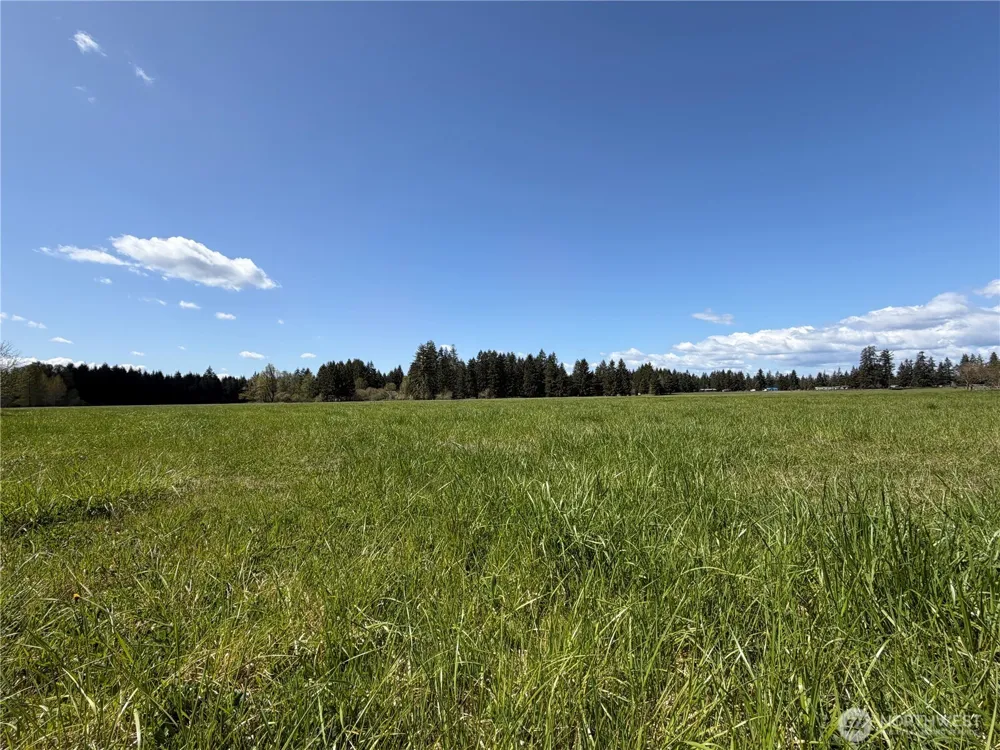 0 xxx W Forest Green Lane Elma, WA 98541