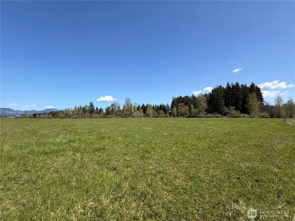 0 xxx W Forest Green Lane Elma, WA 98541
