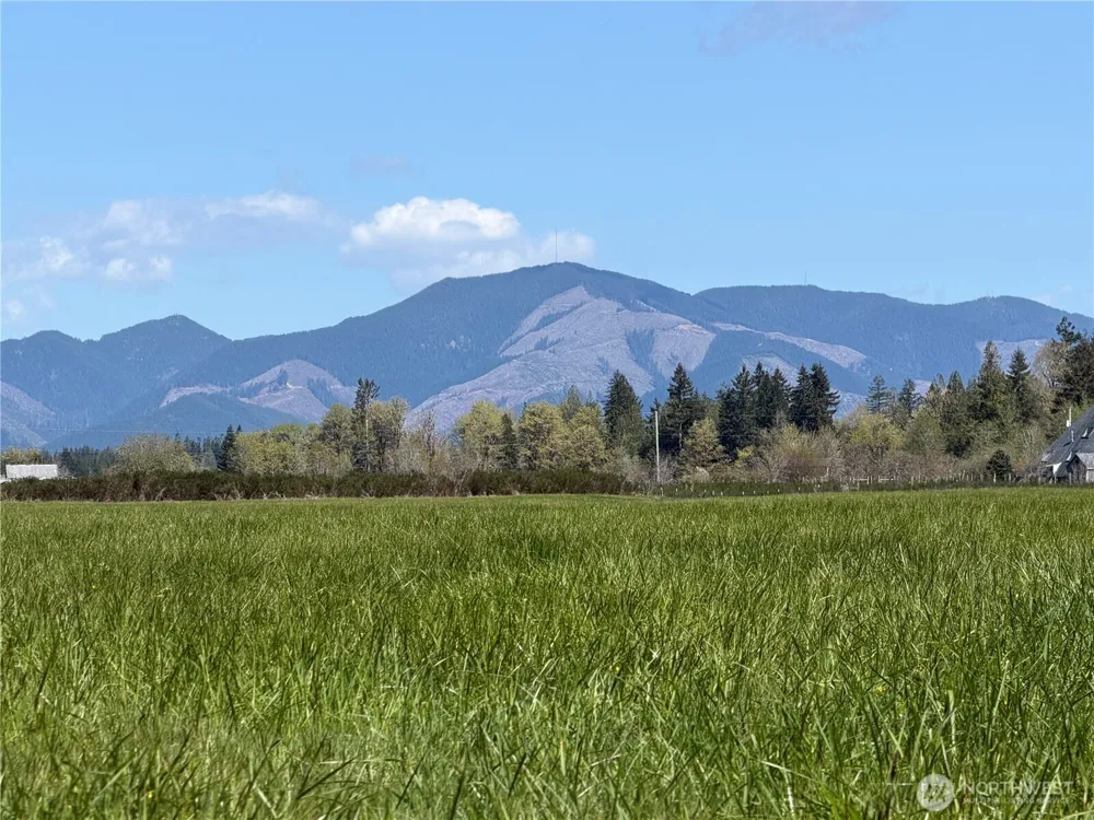 0 xxx W Forest Green Lane Elma, WA 98541