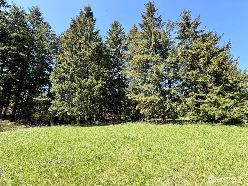 0 xxx W Forest Green Lane Elma, WA 98541