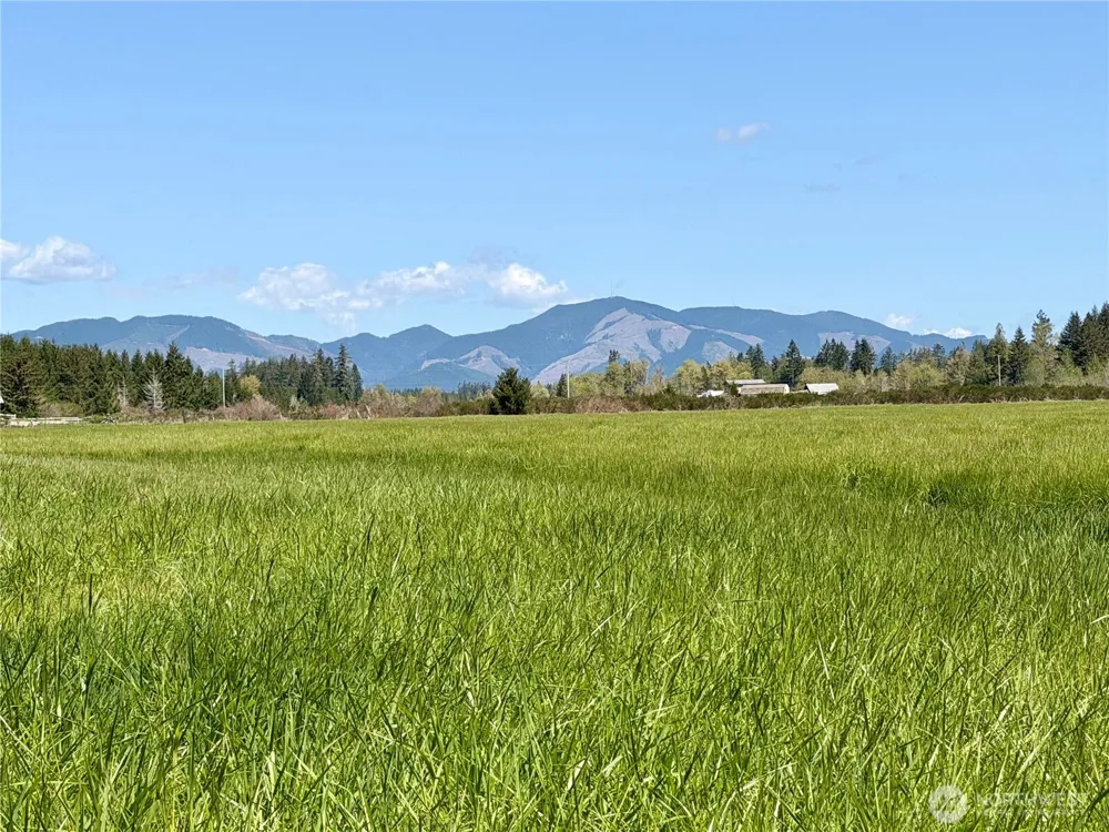 0 xxx W Forest Green Lane Elma, WA 98541