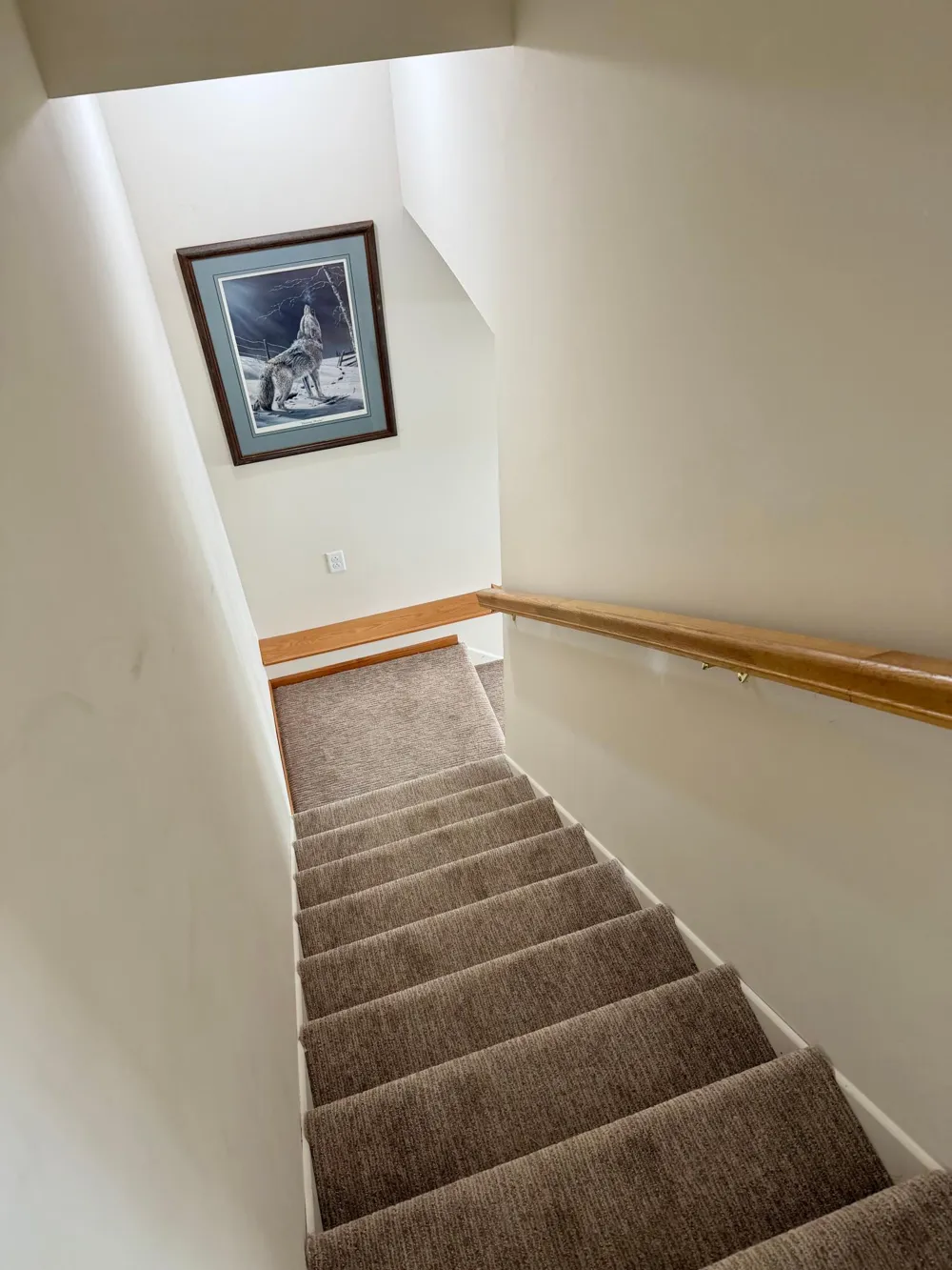 23020 Glenhaven Drive Nevis, MN 56467