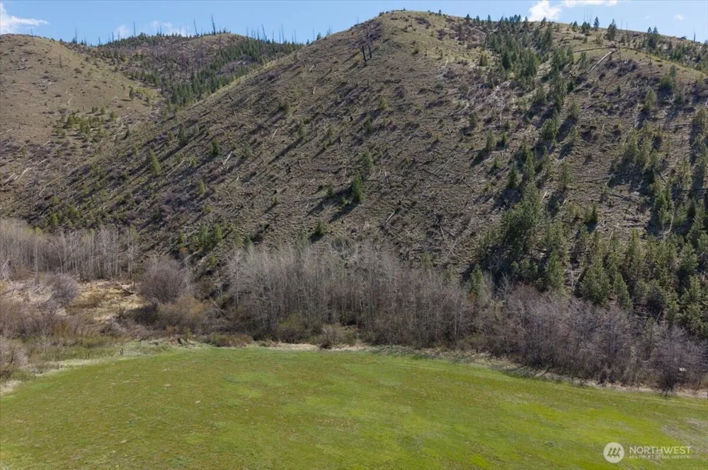 0 Bisping Canyon Road Entiat, WA 98822