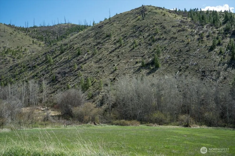0 Bisping Canyon Road Entiat, WA 98822