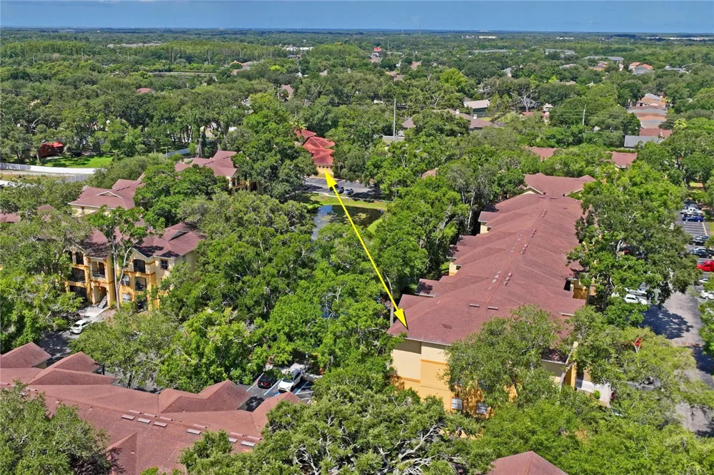 5618 PINNACLE HEIGHTS CIRCLE #312 Tampa, FL 33624