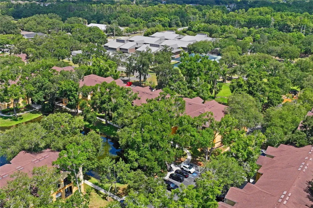 5618 PINNACLE HEIGHTS CIRCLE #312 Tampa, FL 33624