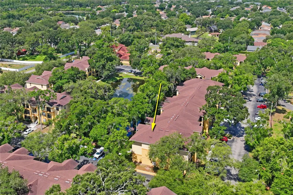 5618 PINNACLE HEIGHTS CIRCLE #312 Tampa, FL 33624