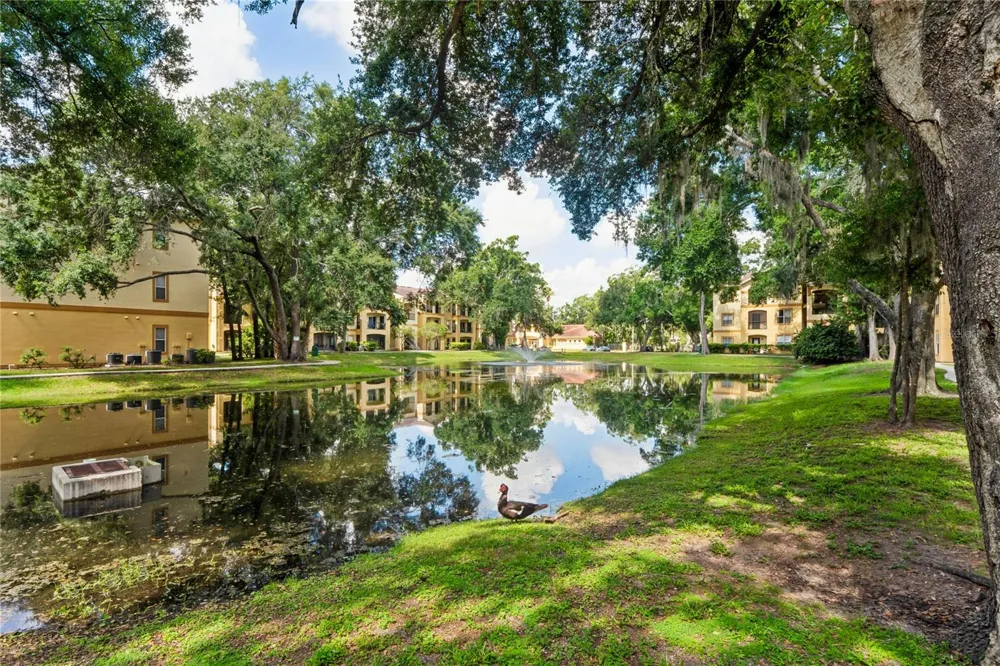 5618 PINNACLE HEIGHTS CIRCLE #312 Tampa, FL 33624